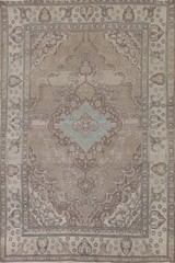 Light Brown Classic Area Rug 6×10 Home Decor Living Room Medallion Wool Carpet