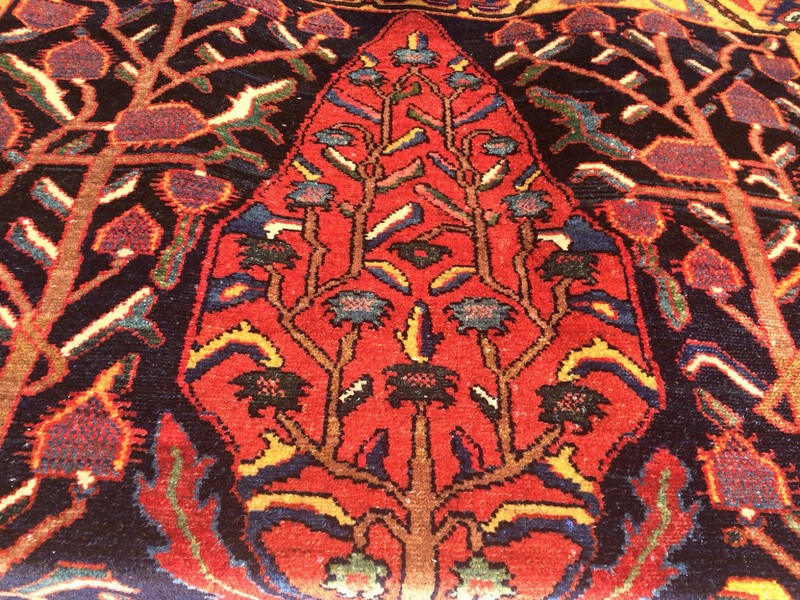 Extraordinary 19th Century Khan Bakhtiari Chahar Mahal Village Tribal Rug Rare gallery