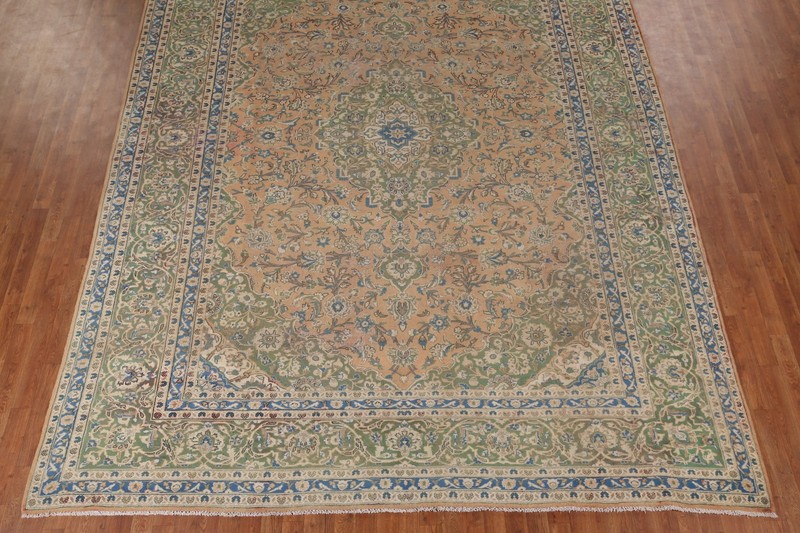 Orange Traditional Vintage Area Rug 10x13 Handmade Wool Floral for Living Room gallery