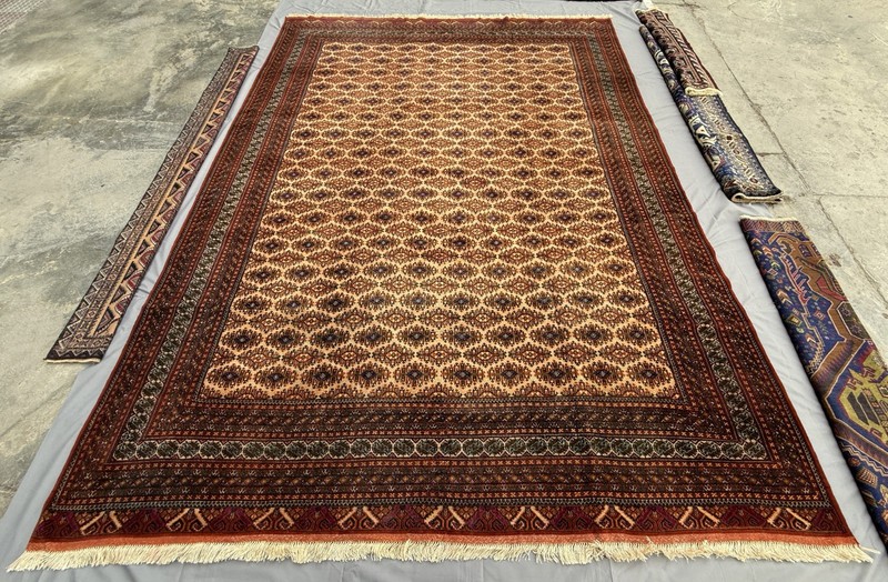 Fine Hand Knotted Afghan Sarooq Rug 10x13 Antique Persian Style Oriental Carpet gallery