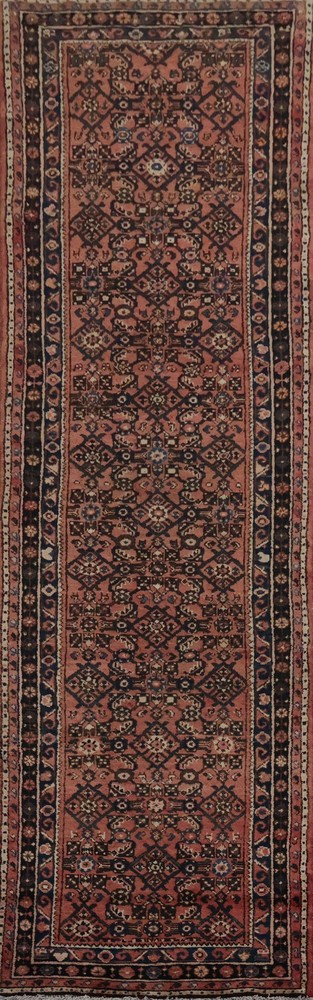 Elegant 10 ft Narrow Runner Rug 3x10 Rich Ornamental Design Handmade Wool Carpet