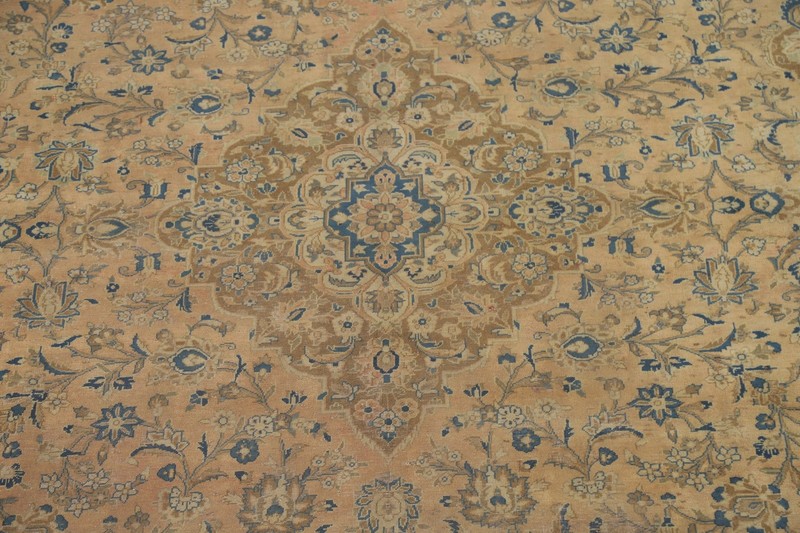Traditional Floral Peach Area Rug 9x13 Wool Hand-knotted Living Room Carpet gallery