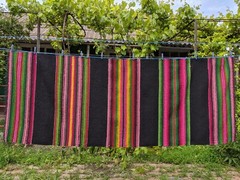 Handmade Wool Woven Carpet Runner ‘Mihailyanskaya’ Moldavian Bessarabian 1984