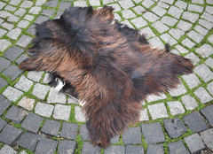 Angora Goat Leather Goatskin Fur 2 x 3 ft Pelt Hide 100% Natural Goat Skin Rug