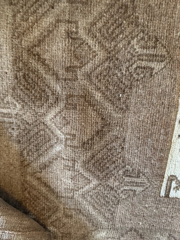 Wool Runner Turkish? Oushak Geometric Tribal Tan Brown 11ft x 31” Hand Knotted gallery