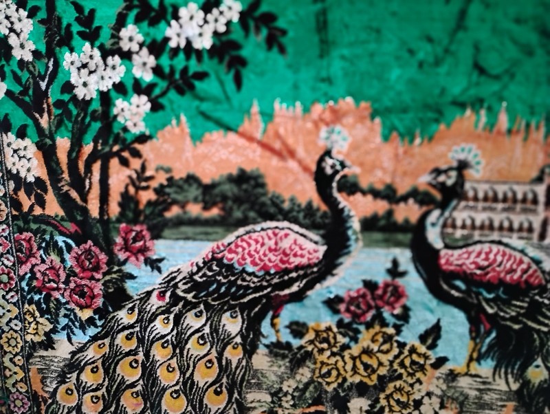 Stunning Peacock Pattern Velvet Rug 56”x40” Wall Hanging Sofa Tapestry Vintage gallery