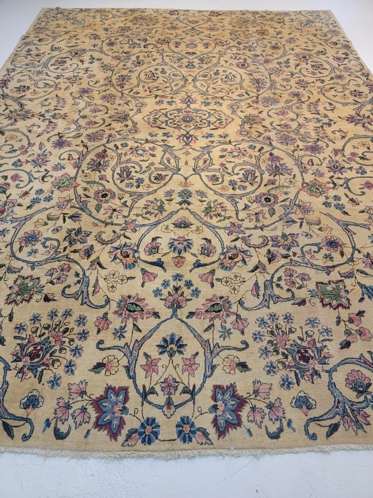 Antique Oriental Hand-Knotted Wool Area Rug Beige/Green/Blue/Salmon 9'8" x 13'