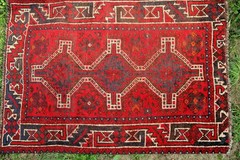 COLLECTORS ITEM Vintage Stunning Fine Quality Natural DyeShirvan Caucasus Carpet