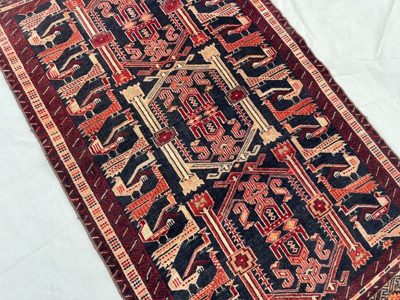 COLLECTORS' ITEM Vintage Stunning Peacock Shikargah Pictorial Tribal Belouch Rug gallery