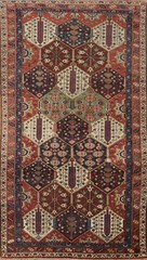 Vegetable Dye Garden Design Traditional Style Rug 4×8 ft Hand-knotted Wool