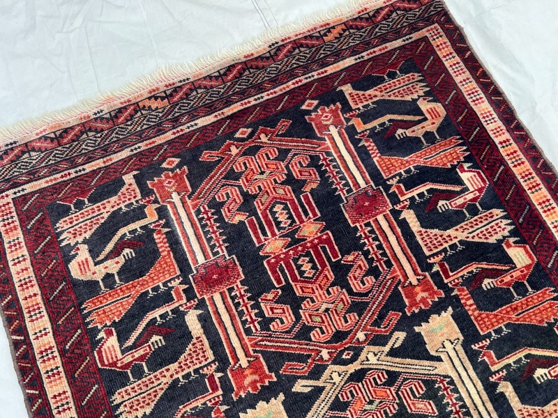 COLLECTORS' ITEM Vintage Stunning Peacock Shikargah Pictorial Tribal Belouch Rug gallery