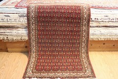 ANTIQUE Late 19th Century Senneh Rug Authentic Tribal Carpet 3’5″ x 5′ Orange