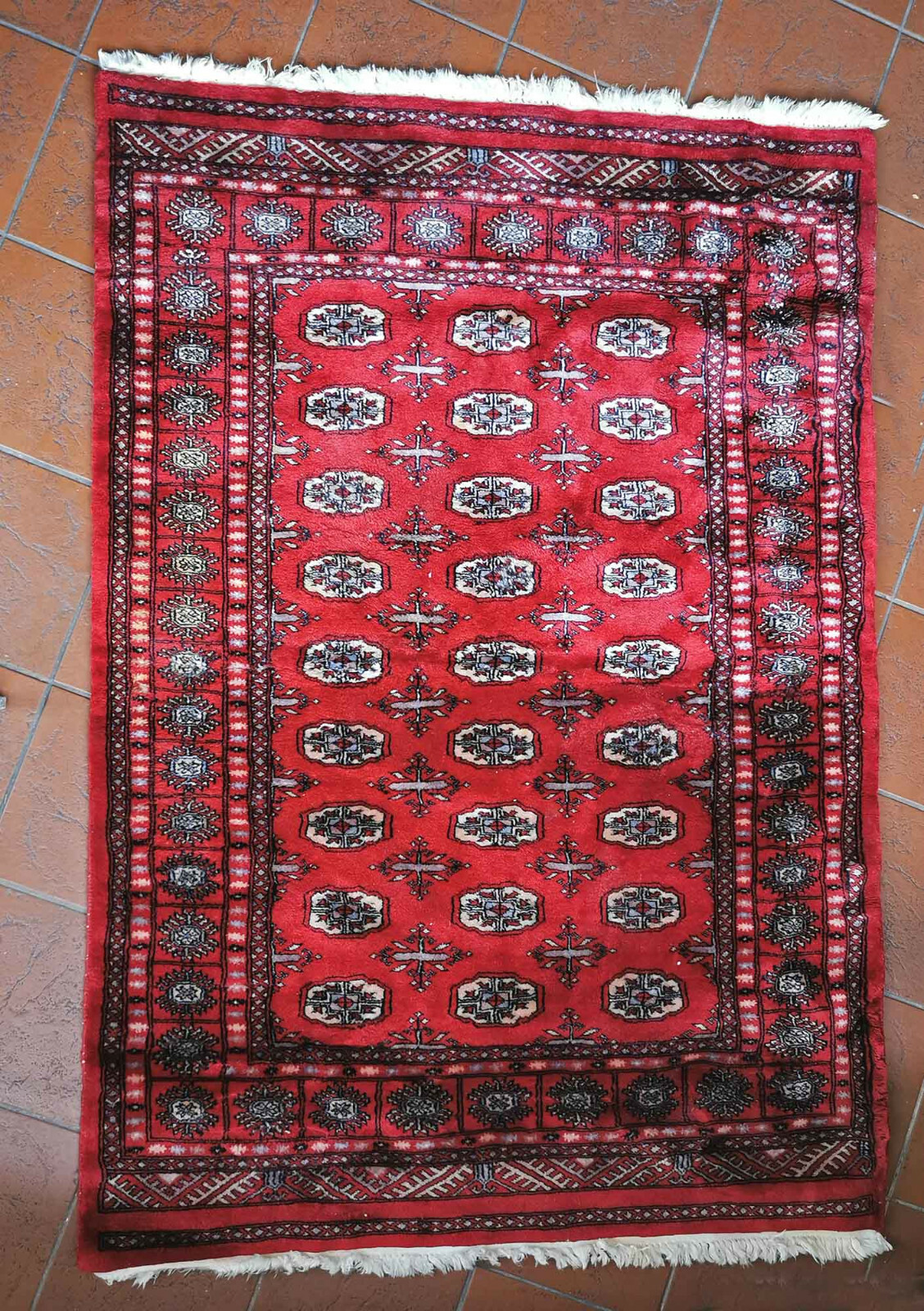 9366003 -d Oriental Carpets Hand-Knotted 48 3/8x70 7/8in gallery