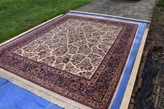 Karastan Rug original Collection 700/760 Ivory Sarouk 8.8×10.6 Super Nice KIS1