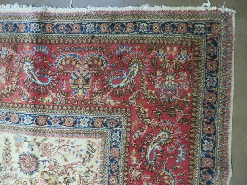 Per'sian Rug 8x10, Birds Boteh Paisleys, Cream and Red, Allover Pattern gallery