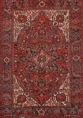 Vintage Traditional Handmade Wool Heriz Area Rug 9×11 ft Living Room Red Carpet