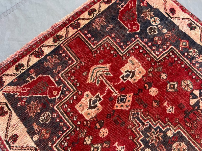 Zanjan Rug 5x6.7 Tribal Geometric Birds Hand Knotted Wool Red Blue Oriental Area gallery