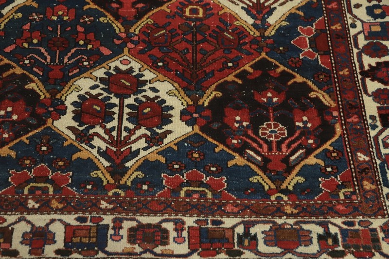 Antique Garden Design Vegetable Dye Traditional Rug 5x6 ft Hand-knotted Wool gallery