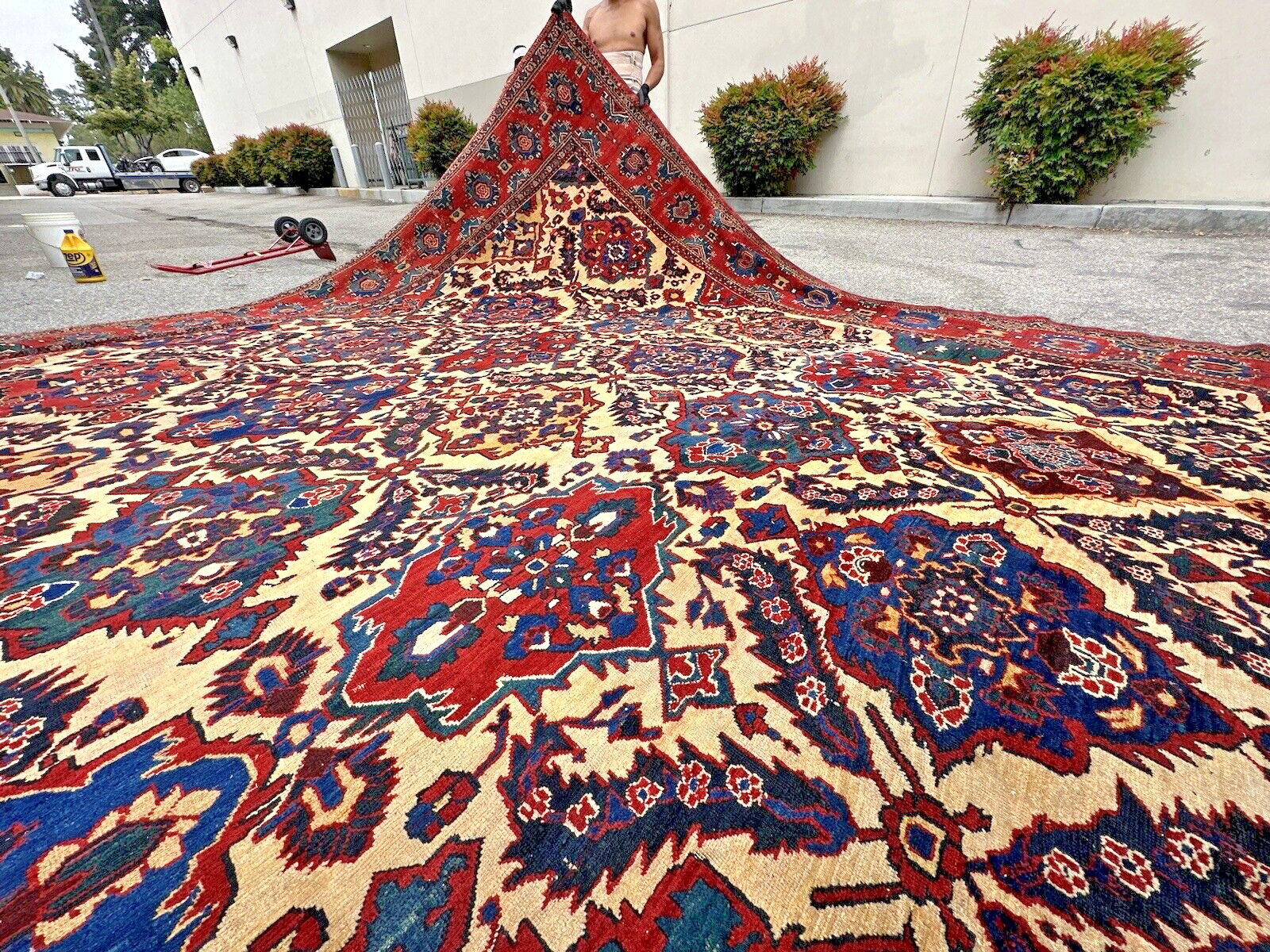 Auth: 19th C Antique Nomadic Bakhtiar Rug RARE Organic Masterpiece HUGE 14x25 gallery