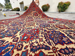 Auth: 19th C Antique Nomadic Bakhtiar Rug RARE Organic Masterpiece HUGE 14×25