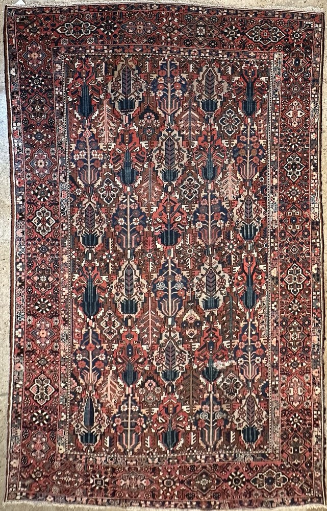 Tremendous Tribal - 1910 Antique Oriental Rug - Nomadic Carpet - 10.2 X 16 Ft