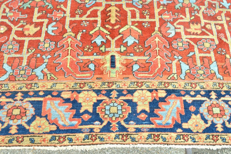 GORGEOUS ANTIQUE 1890'S ALL OVER RARE SIZED SERAPI HERIZ REGION RUG ***wws*** gallery