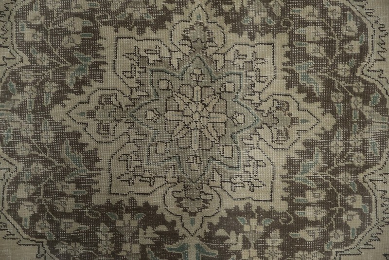 Elegant Ornate Classic Area Rug 7x10 for Traditional Living Spaces Muted Carpet gallery