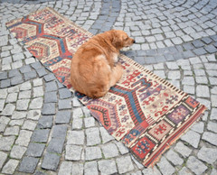 Antique Turkish Rug 26” x 96” Collector’s Item Fragment Aydin Wall Hanging Rug