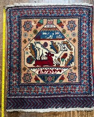 Wool Rug