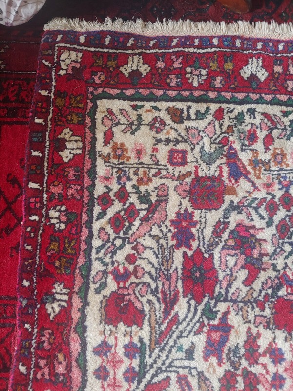 Hand Knotted Vintage Afghanistan Balouch Birds & Floral Wool Area Rug 52"x 49" gallery