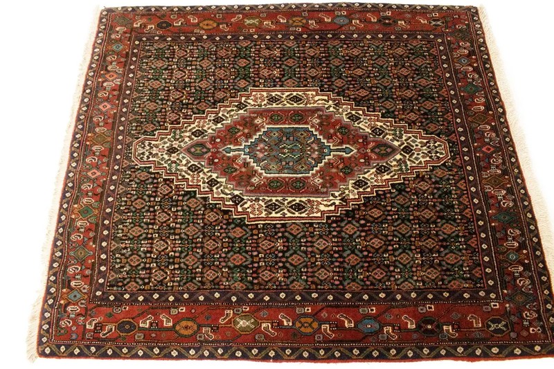 One of a Kind Floral Design Handmade 4X5 Bidjar Oriental Rug Plush Decor Carpet gallery
