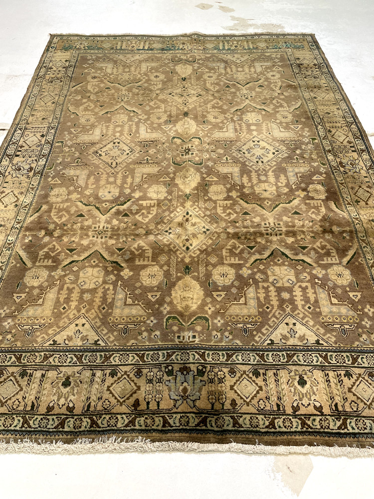 Antique Oriental Hand-Knotted Wool Area Rug Ivory/Green/Light Brown 6'8" x 9'8"
