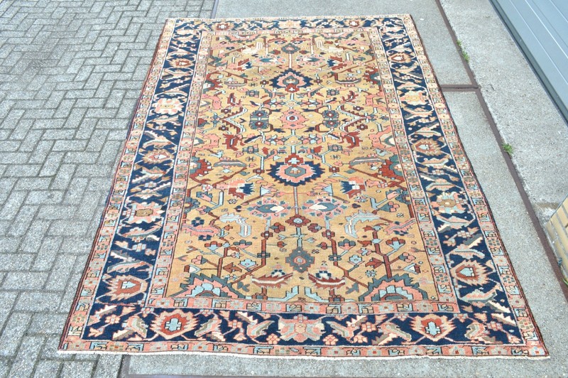 VERY RARE CAMELGROUND ANTIQUE SERAPI HERIZ REGION RUG 9,5 x 6,9 ft. circa 1900's gallery