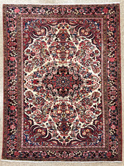 Antique Borchalou Wool Rug Tribal Hand Knotted Oriental Area Ivory 5×7 Vintage