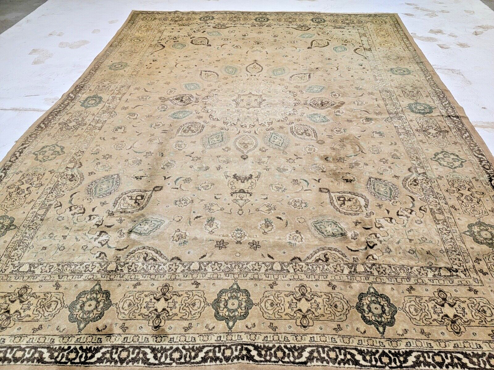Antique Oriental Hand-Knotted Wool Area Rug Light Brown/Green 9'10"x12'7" gallery