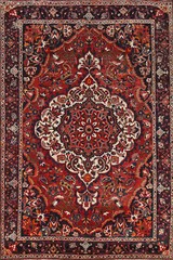 Traditional Floral Wool Hand-knotted Bakhtiari Area Rug Living Room Carpet 7×11