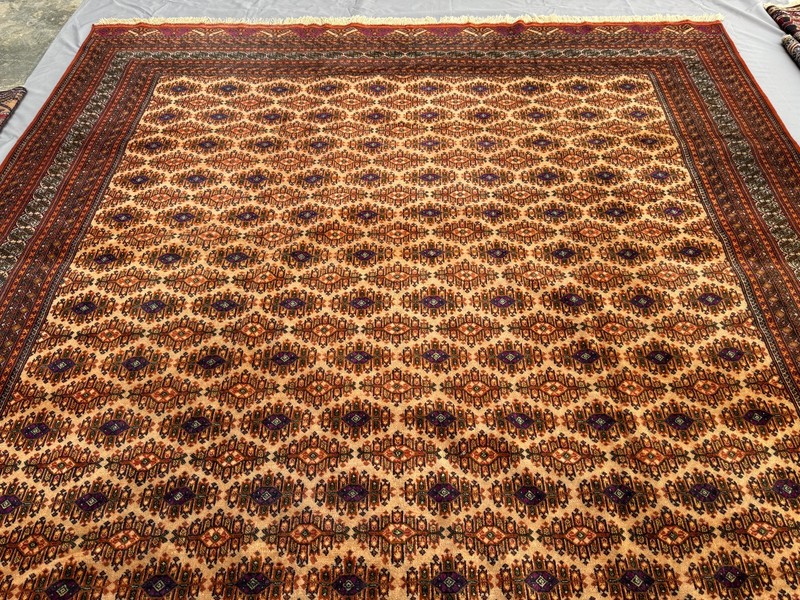 Fine Hand Knotted Afghan Sarooq Rug 10x13 Antique Persian Style Oriental Carpet gallery