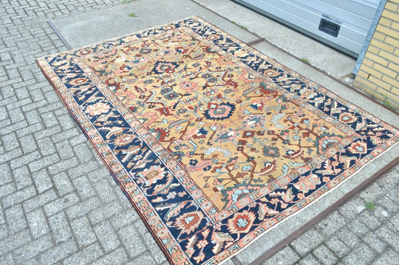 VERY RARE CAMELGROUND ANTIQUE SERAPI HERIZ REGION RUG 9,5 x 6,9 ft. circa 1900's gallery