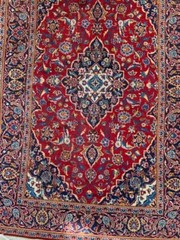 Beautiful Area Rug