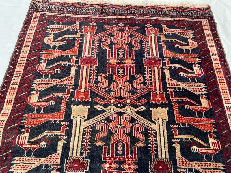 COLLECTORS' ITEM Vintage Stunning Peacock Shikargah Pictorial Tribal Belouch Rug gallery