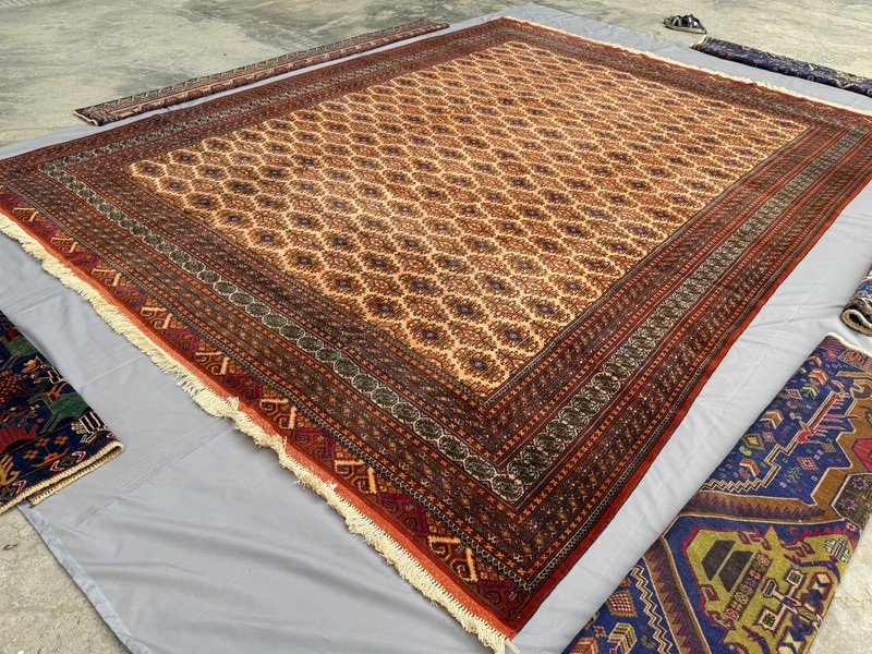 Fine Hand Knotted Afghan Sarooq Rug 10x13 Antique Persian Style Oriental Carpet gallery