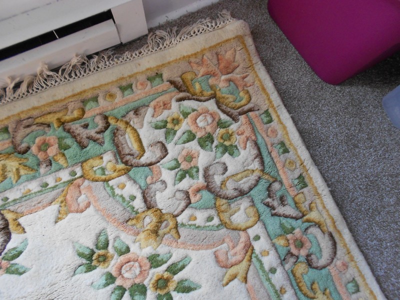 MAGNIFICENT Chinese Hand Carved Wool Rug - 6x6, FREE US Continental SHIPPING! gallery