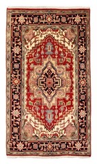 Vintage Traditional Hand-Knotted Area Rug 3’10” x 6’0″ Oriental Wool Carpet