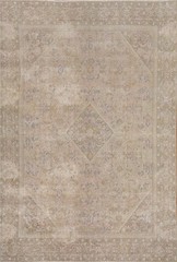 Antique Wool Hand-knotted Traditional Living Room Area Rug 9×12 Muted Carpet