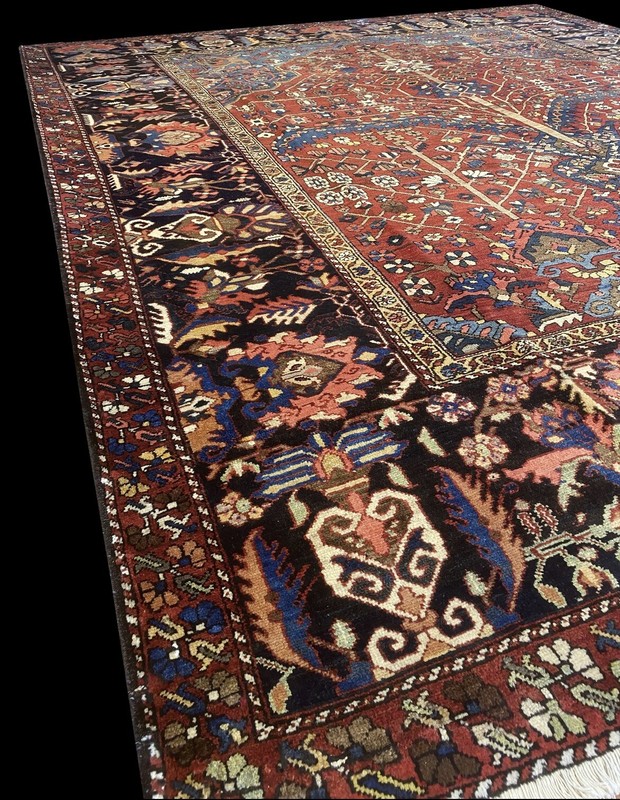 Antique Tree Of Life | Bakhtiari Area Rug | Handmade 10'x13' | One Of A Kind Rug gallery