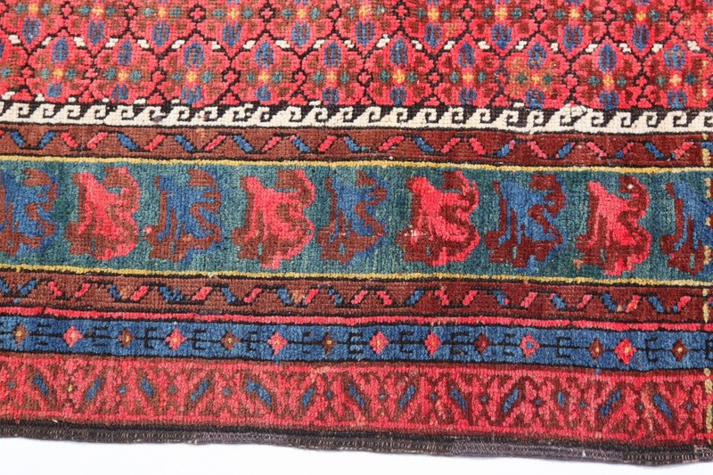 Antique Caucasian Zehur Rug with Rose Pink Tribal Hand Knotted Wool Carpet gallery