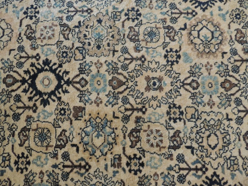 8x10, 8x11 Herize Oriental Area Rug wool Beige Blue Pink Salmon gallery