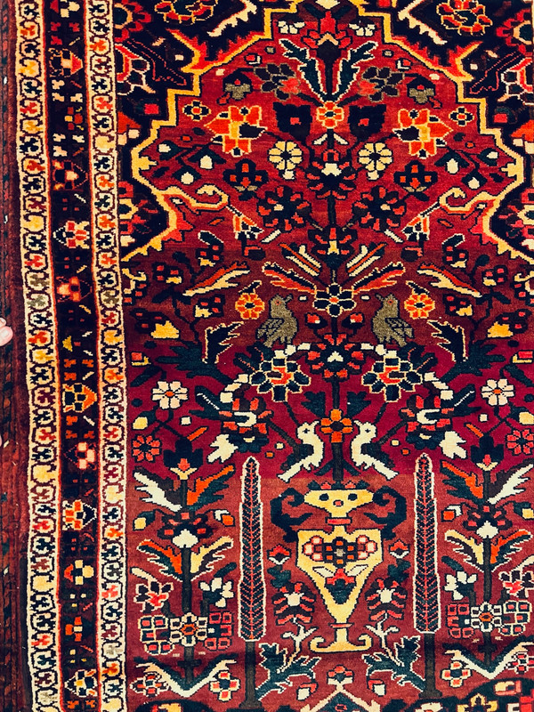 COLLECTORS ITEM Beautiful Antique Kazak Caucasian Natural Dye Caucasus Carpet gallery