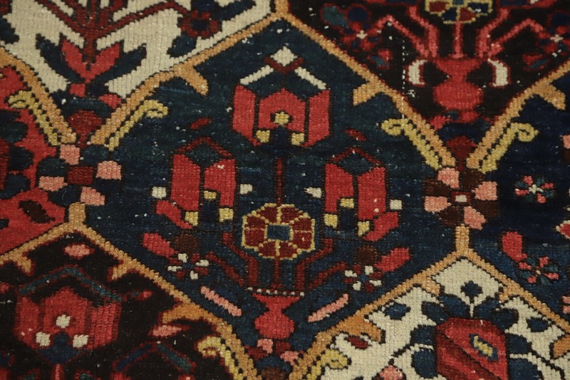 Antique Garden Design Vegetable Dye Traditional Rug 5x6 ft Hand-knotted Wool gallery