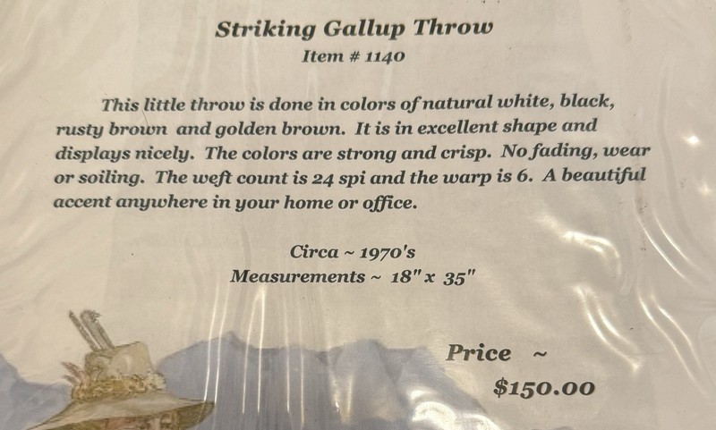 Striking Gallup Throw Circa 1970’s 18”x35” gallery